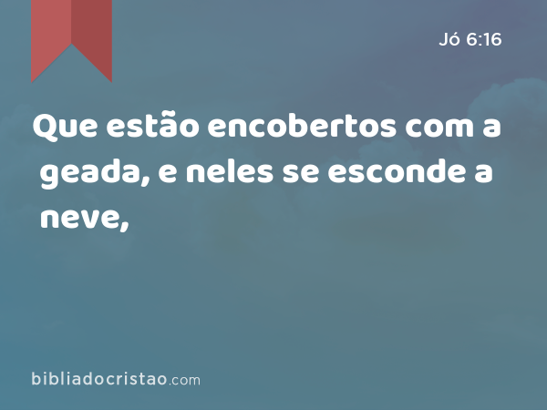 Que estão encobertos com a geada, e neles se esconde a neve, - Jó 6:16