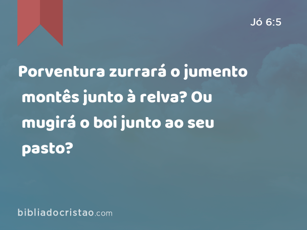 Porventura zurrará o jumento montês junto à relva? Ou mugirá o boi junto ao seu pasto? - Jó 6:5