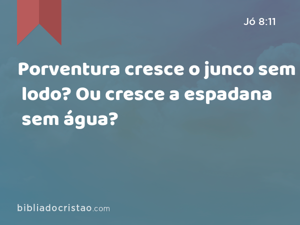 Porventura cresce o junco sem lodo? Ou cresce a espadana sem água? - Jó 8:11