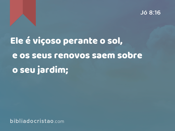 Ele é viçoso perante o sol, e os seus renovos saem sobre o seu jardim; - Jó 8:16