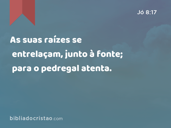 As suas raízes se entrelaçam, junto à fonte; para o pedregal atenta. - Jó 8:17