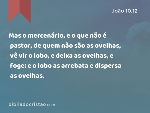 Mas o mercenário, e o que não é pastor, de quem não são as ovelhas, vê vir o lobo, e deixa as ovelhas, e foge; e o lobo as arrebata e dispersa as ovelhas. - João 10:12