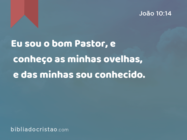 Eu sou o bom Pastor, e conheço as minhas ovelhas, e das minhas sou conhecido. - João 10:14