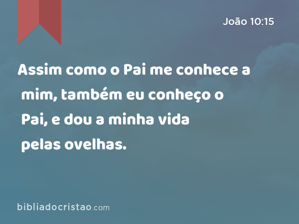 Assim como o Pai me conhece a mim, também eu conheço o Pai, e dou a minha vida pelas ovelhas. - João 10:15