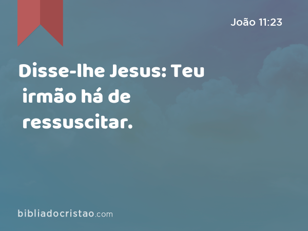Disse-lhe Jesus: Teu irmão há de ressuscitar. - João 11:23