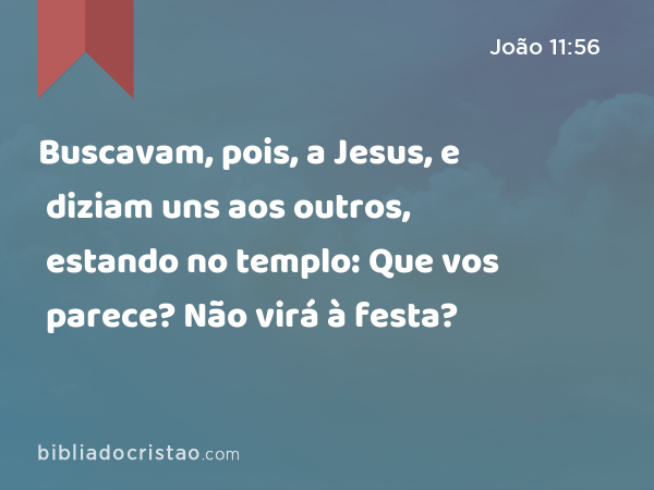 Buscavam, pois, a Jesus, e diziam uns aos outros, estando no templo: Que vos parece? Não virá à festa? - João 11:56
