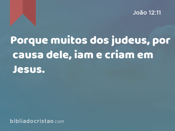 Porque muitos dos judeus, por causa dele, iam e criam em Jesus. - João 12:11