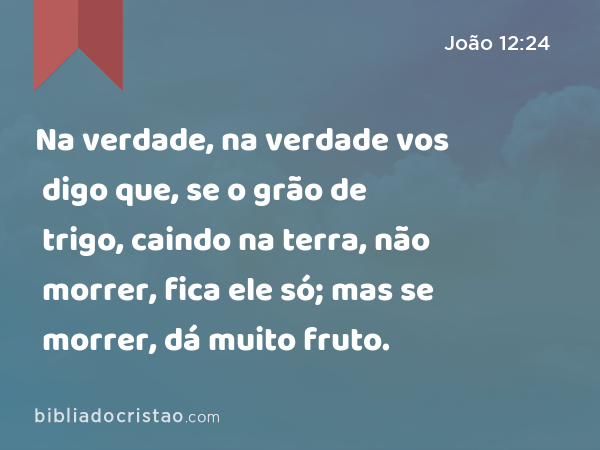 Na verdade, na verdade vos digo que, se o grão de trigo, caindo na terra, não morrer, fica ele só; mas se morrer, dá muito fruto. - João 12:24