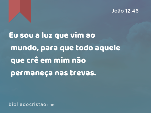 Eu sou a luz que vim ao mundo, para que todo aquele que crê em mim não permaneça nas trevas. - João 12:46