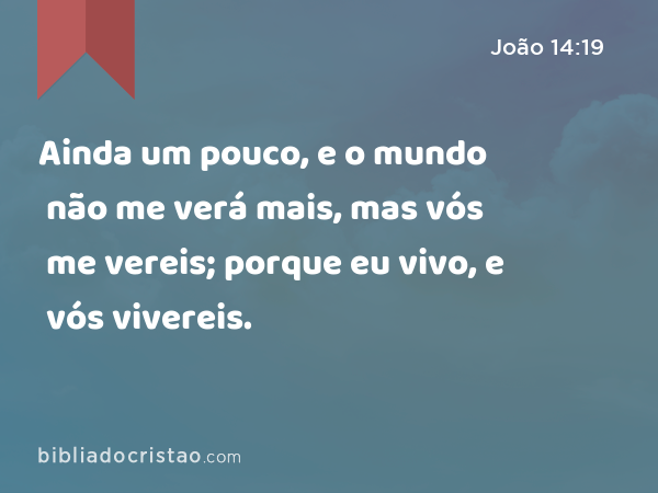 Ainda um pouco, e o mundo não me verá mais, mas vós me vereis; porque eu vivo, e vós vivereis. - João 14:19