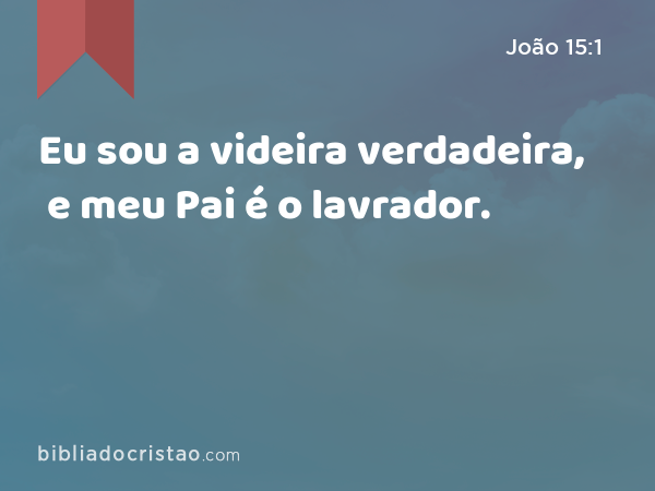 Eu sou a videira verdadeira, e meu Pai é o lavrador. - João 15:1