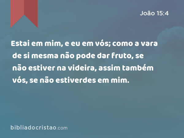 Estai em mim, e eu em vós; como a vara de si mesma não pode dar fruto, se não estiver na videira, assim também vós, se não estiverdes em mim. - João 15:4