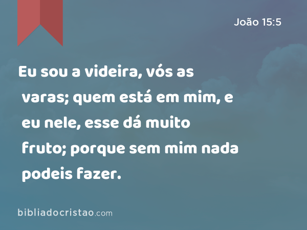 Eu sou a videira, vós as varas; quem está em mim, e eu nele, esse dá muito fruto; porque sem mim nada podeis fazer. - João 15:5