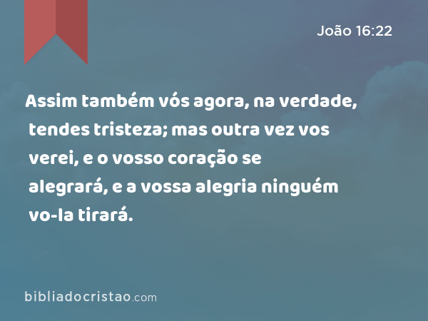 Assim também vós agora, na verdade, tendes tristeza; mas outra vez vos verei, e o vosso coração se alegrará, e a vossa alegria ninguém vo-la tirará. - João 16:22