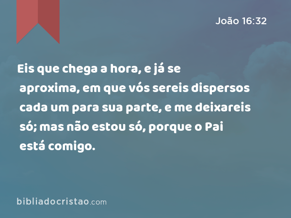 Eis que chega a hora, e já se aproxima, em que vós sereis dispersos cada um para sua parte, e me deixareis só; mas não estou só, porque o Pai está comigo. - João 16:32