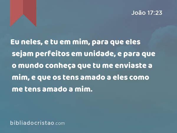 Eu neles, e tu em mim, para que eles sejam perfeitos em unidade, e para que o mundo conheça que tu me enviaste a mim, e que os tens amado a eles como me tens amado a mim. - João 17:23