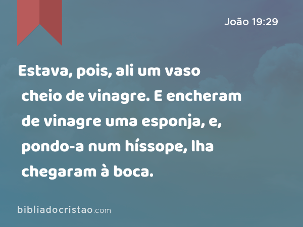 Estava, pois, ali um vaso cheio de vinagre. E encheram de vinagre uma esponja, e, pondo-a num híssope, lha chegaram à boca. - João 19:29