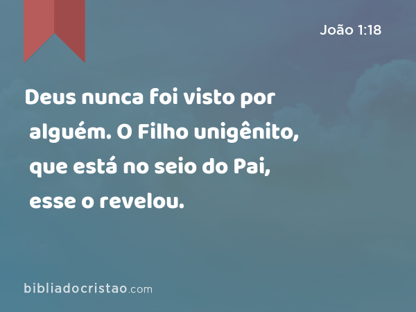 Deus nunca foi visto por alguém. O Filho unigênito, que está no seio do Pai, esse o revelou. - João 1:18