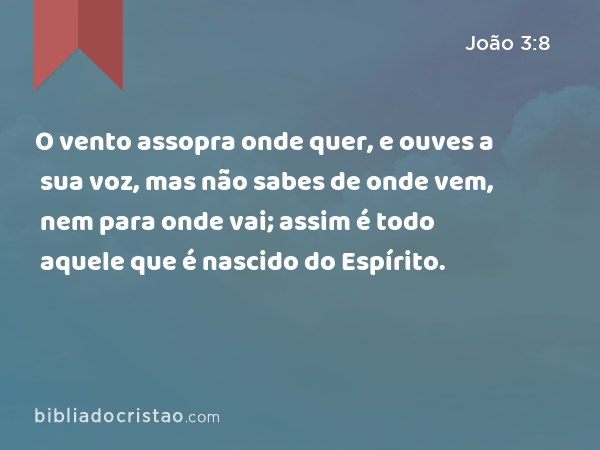 O vento assopra onde quer, e ouves a sua voz, mas não sabes de onde vem, nem para onde vai; assim é todo aquele que é nascido do Espírito. - João 3:8