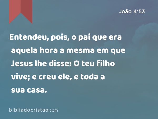 Entendeu, pois, o pai que era aquela hora a mesma em que Jesus lhe disse: O teu filho vive; e creu ele, e toda a sua casa. - João 4:53