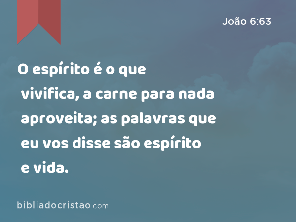 O espírito é o que vivifica, a carne para nada aproveita; as palavras que eu vos disse são espírito e vida. - João 6:63