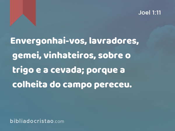 Envergonhai-vos, lavradores, gemei, vinhateiros, sobre o trigo e a cevada; porque a colheita do campo pereceu. - Joel 1:11