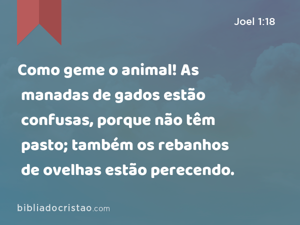 Como geme o animal! As manadas de gados estão confusas, porque não têm pasto; também os rebanhos de ovelhas estão perecendo. - Joel 1:18