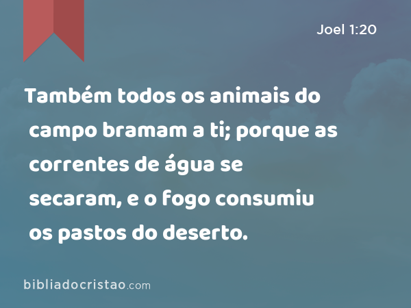 Também todos os animais do campo bramam a ti; porque as correntes de água se secaram, e o fogo consumiu os pastos do deserto. - Joel 1:20