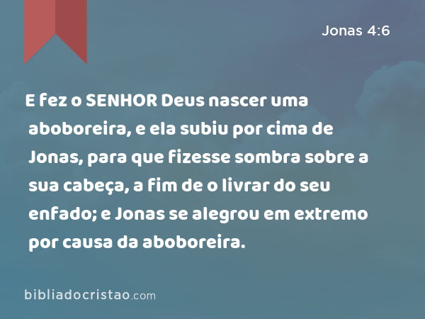 E fez o SENHOR Deus nascer uma aboboreira, e ela subiu por cima de Jonas, para que fizesse sombra sobre a sua cabeça, a fim de o livrar do seu enfado; e Jonas se alegrou em extremo por causa da aboboreira. - Jonas 4:6