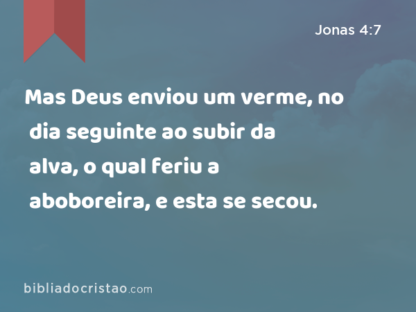 Mas Deus enviou um verme, no dia seguinte ao subir da alva, o qual feriu a aboboreira, e esta se secou. - Jonas 4:7