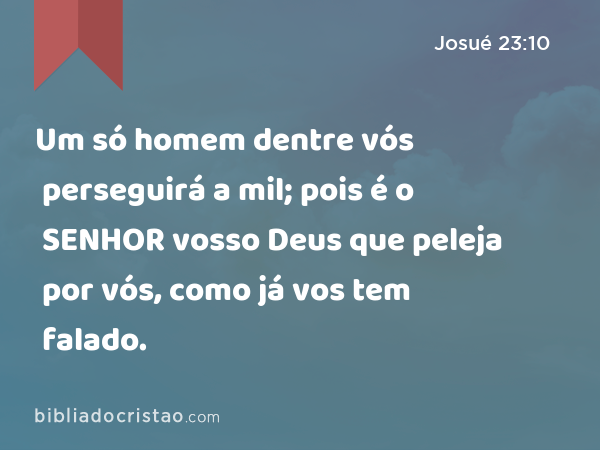 Um só homem dentre vós perseguirá a mil; pois é o SENHOR vosso Deus que peleja por vós, como já vos tem falado. - Josué 23:10