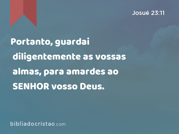 Portanto, guardai diligentemente as vossas almas, para amardes ao SENHOR vosso Deus. - Josué 23:11