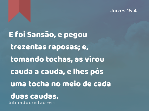 E foi Sansão, e pegou trezentas raposas; e, tomando tochas, as virou cauda a cauda, e lhes pós uma tocha no meio de cada duas caudas. - Juízes 15:4