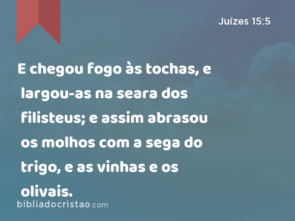 E chegou fogo às tochas, e largou-as na seara dos filisteus; e assim abrasou os molhos com a sega do trigo, e as vinhas e os olivais. - Juízes 15:5