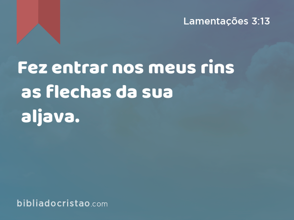 Fez entrar nos meus rins as flechas da sua aljava. - Lamentações 3:13