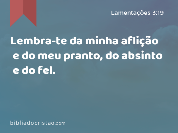 Lembra-te da minha aflição e do meu pranto, do absinto e do fel. - Lamentações 3:19