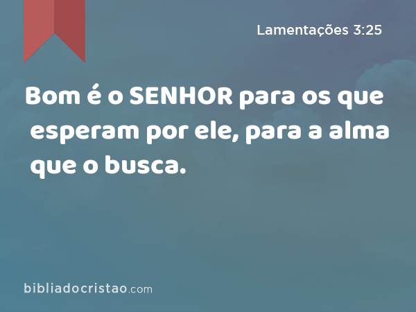 Bom é o SENHOR para os que esperam por ele, para a alma que o busca. - Lamentações 3:25