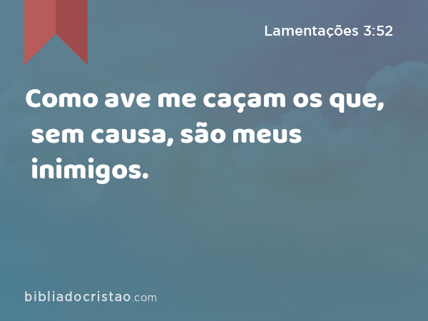 Como ave me caçam os que, sem causa, são meus inimigos. - Lamentações 3:52