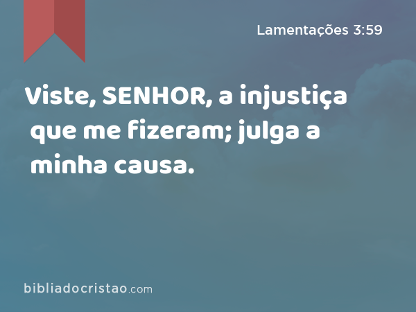 Viste, SENHOR, a injustiça que me fizeram; julga a minha causa. - Lamentações 3:59