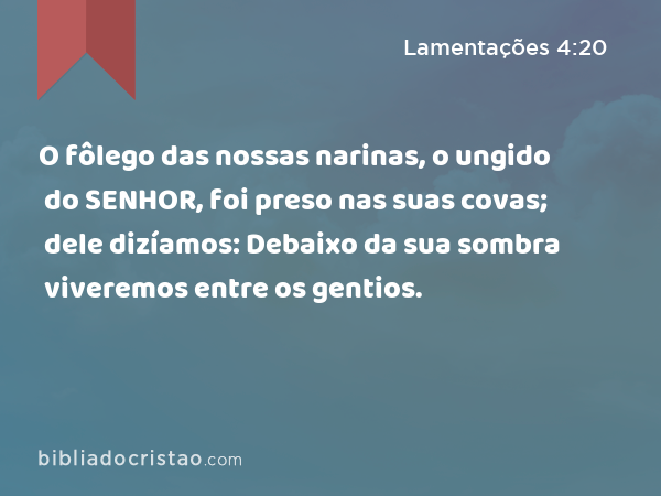 O fôlego das nossas narinas, o ungido do SENHOR, foi preso nas suas covas; dele dizíamos: Debaixo da sua sombra viveremos entre os gentios. - Lamentações 4:20