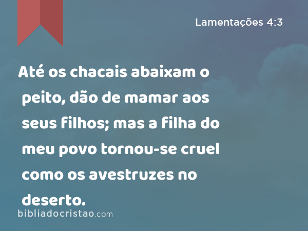 Até os chacais abaixam o peito, dão de mamar aos seus filhos; mas a filha do meu povo tornou-se cruel como os avestruzes no deserto. - Lamentações 4:3