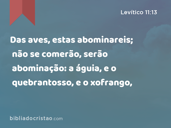 Das aves, estas abominareis; não se comerão, serão abominação: a águia, e o quebrantosso, e o xofrango, - Levítico 11:13