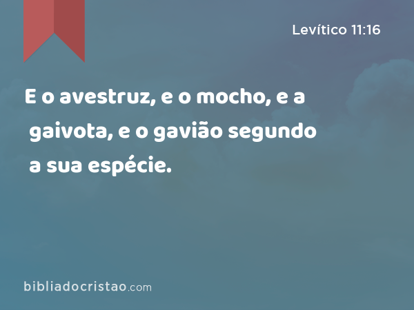 E o avestruz, e o mocho, e a gaivota, e o gavião segundo a sua espécie. - Levítico 11:16