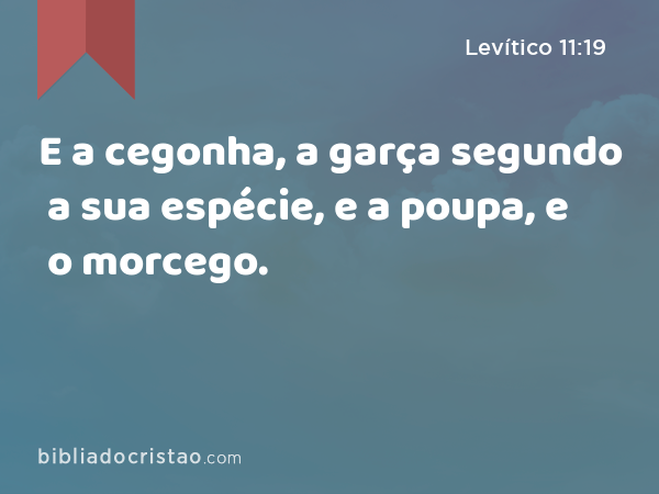 E a cegonha, a garça segundo a sua espécie, e a poupa, e o morcego. - Levítico 11:19