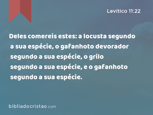 Deles comereis estes: a locusta segundo a sua espécie, o gafanhoto devorador segundo a sua espécie, o grilo segundo a sua espécie, e o gafanhoto segundo a sua espécie. - Levítico 11:22