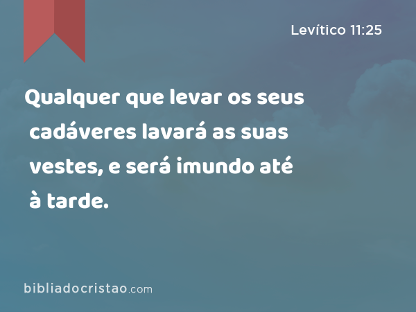 Qualquer que levar os seus cadáveres lavará as suas vestes, e será imundo até à tarde. - Levítico 11:25