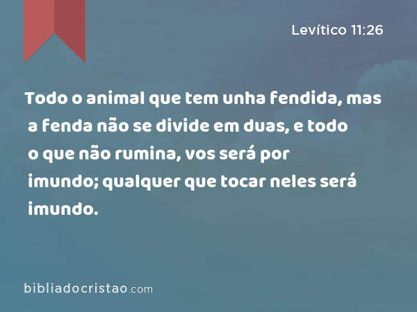 Todo o animal que tem unha fendida, mas a fenda não se divide em duas, e todo o que não rumina, vos será por imundo; qualquer que tocar neles será imundo. - Levítico 11:26