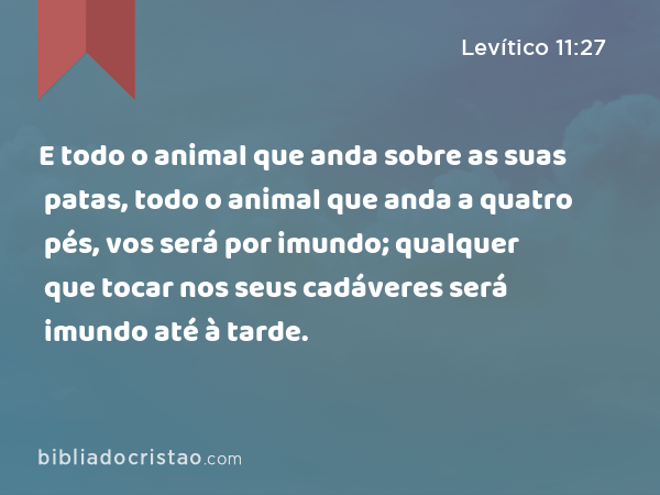 E todo o animal que anda sobre as suas patas, todo o animal que anda a quatro pés, vos será por imundo; qualquer que tocar nos seus cadáveres será imundo até à tarde. - Levítico 11:27