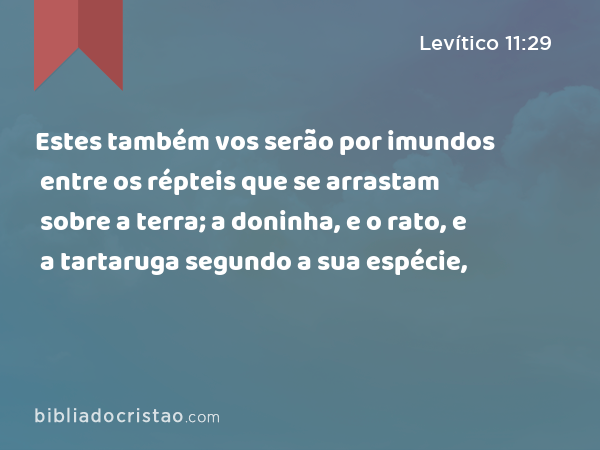 Estes também vos serão por imundos entre os répteis que se arrastam sobre a terra; a doninha, e o rato, e a tartaruga segundo a sua espécie, - Levítico 11:29