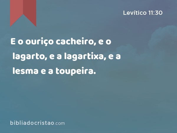 E o ouriço cacheiro, e o lagarto, e a lagartixa, e a lesma e a toupeira. - Levítico 11:30